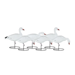 Dakota Decoys Migration Series Full Body Snow Goose Decoys - 6 Pack